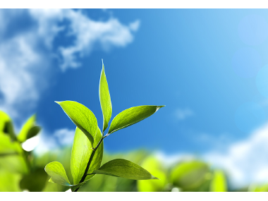 Odpowiedzialne inwestowanie