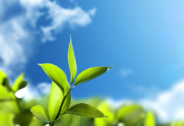 Odpowiedzialne inwestowanie